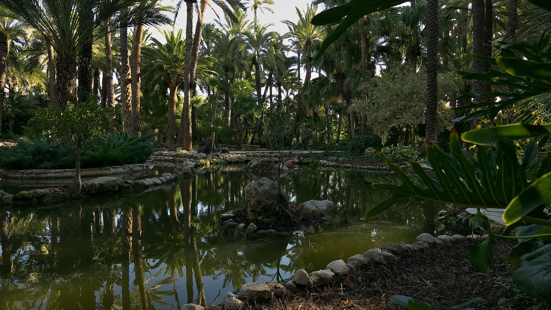 Palmeral de Elche