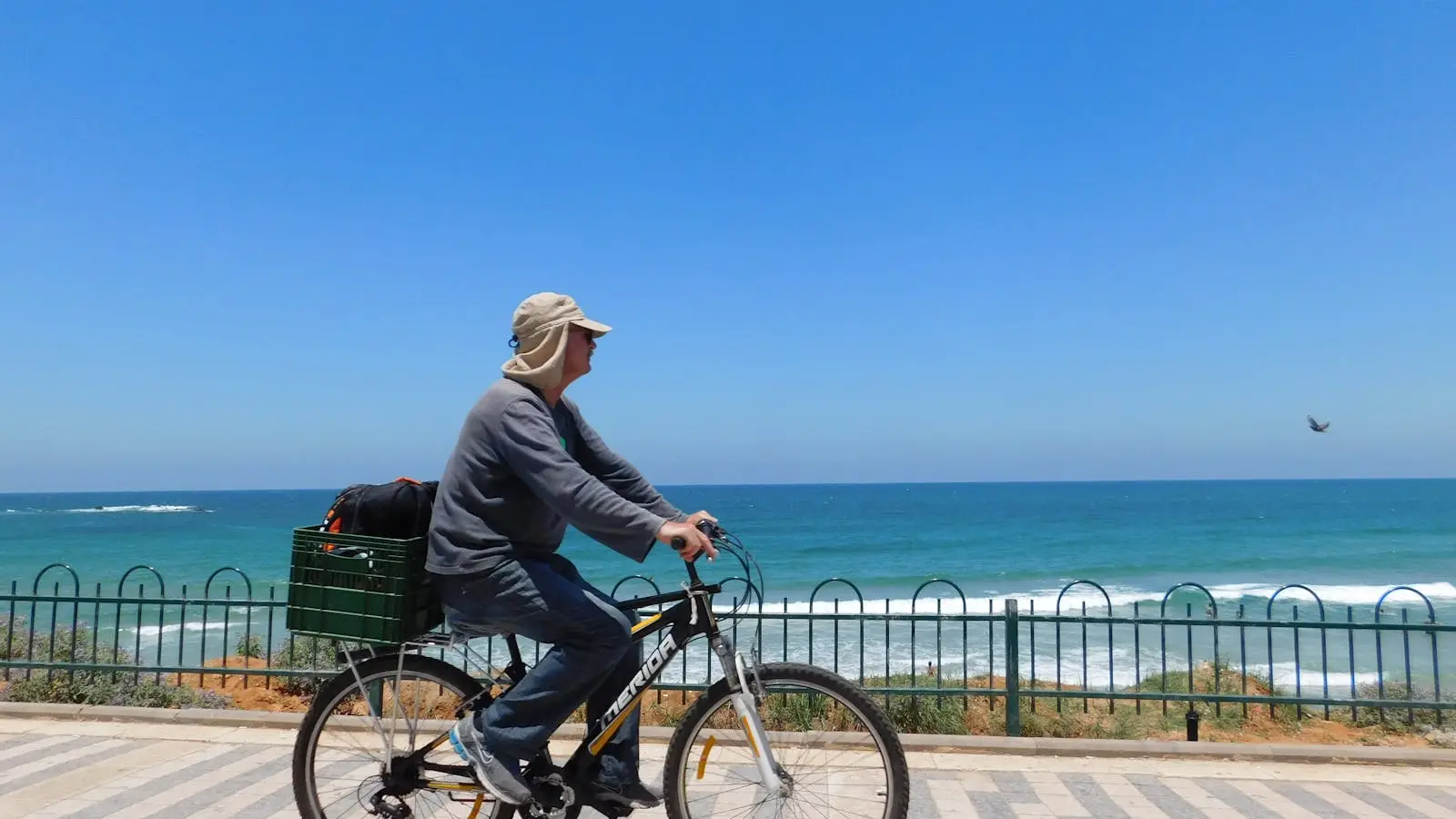 Paseo marítimo de Orihuela Costa con palmeras, ideal para moverse a pie